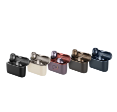Tai nghe Sennheiser MOMENTUM True Wireless 5