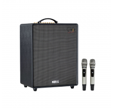 Loa ACNOS CS552 Plus cũ