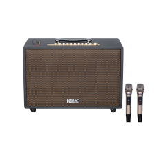 Loa ACNOS CS3800PRO