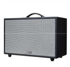 Loa Acnos CS3600 cũ